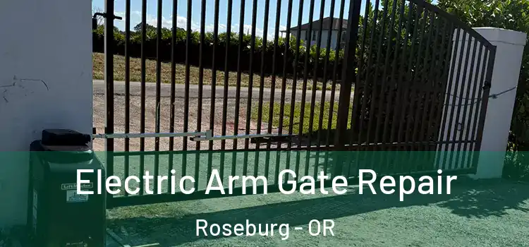 Electric Arm Gate Repair Roseburg - OR