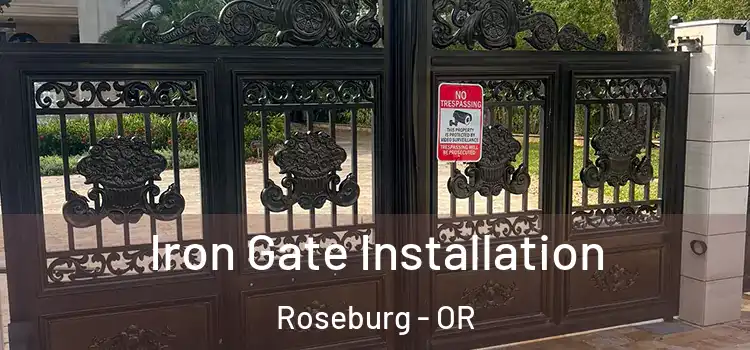 Iron Gate Installation Roseburg - OR