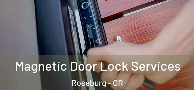 Magnetic Door Lock Services Roseburg - OR