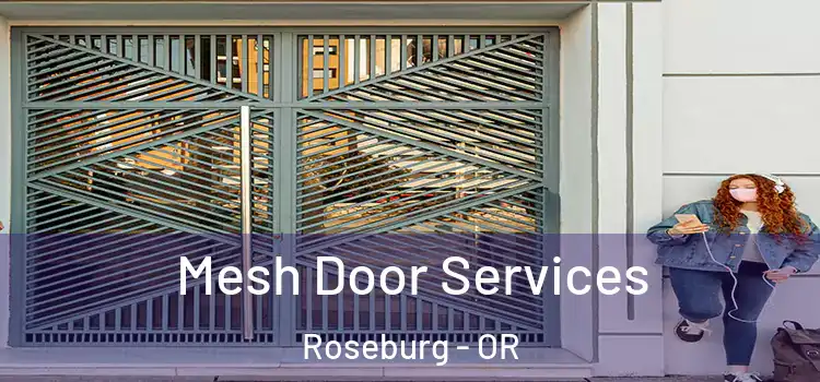 Mesh Door Services Roseburg - OR